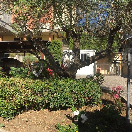 B&B Il Piu Bello San Salvo Dış mekan fotoğraf