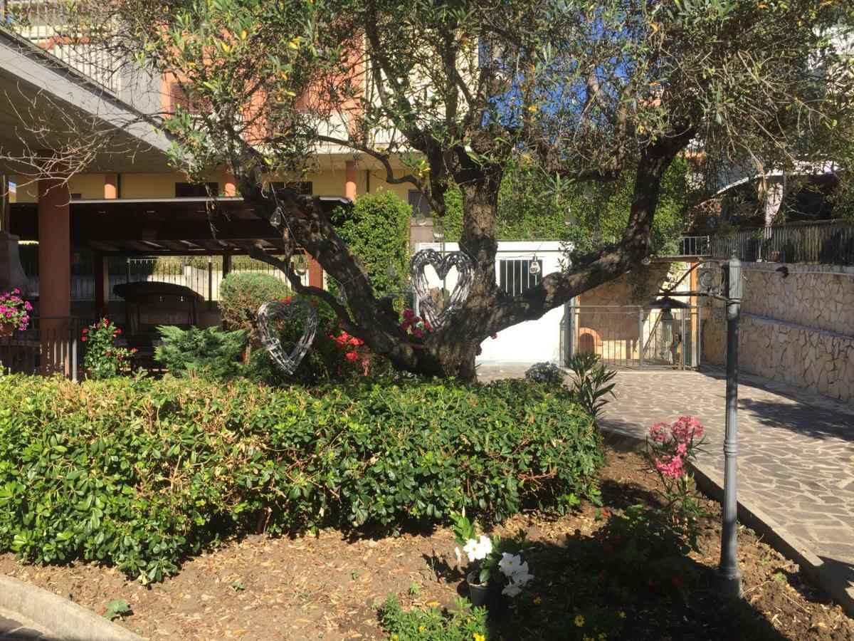 B&B Il Piu Bello San Salvo Dış mekan fotoğraf