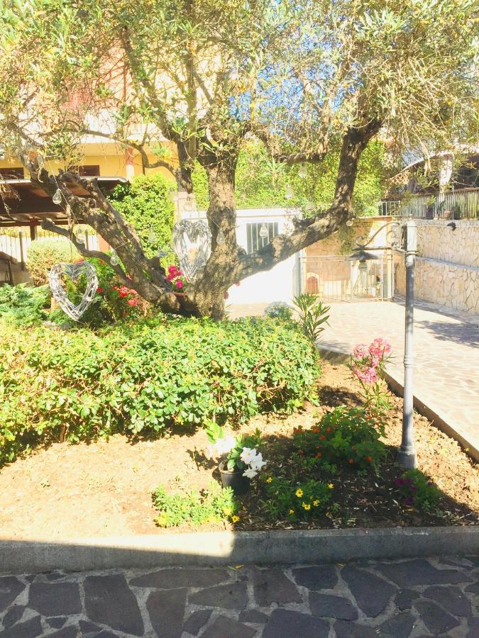 B&B Il Piu Bello San Salvo Dış mekan fotoğraf